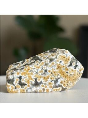 Small Ocean Jasper Crystal Freeform OBJ Orbicular Jasper